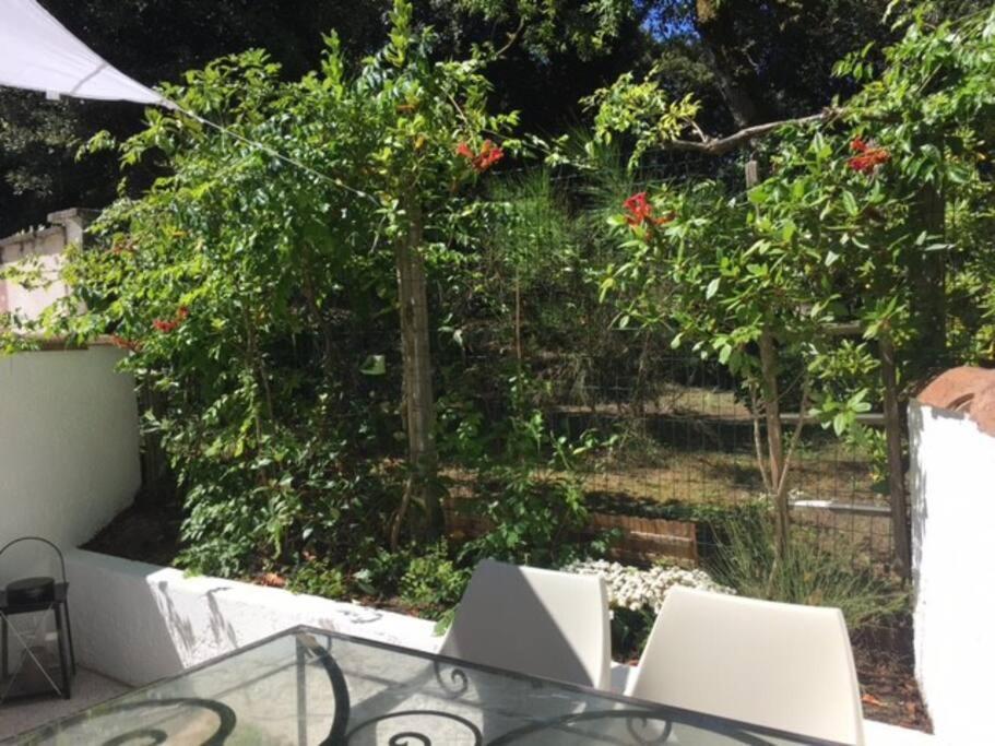 Appartement-jardinet 300 M St Palais Sur Saint-Palais-sur-Mer